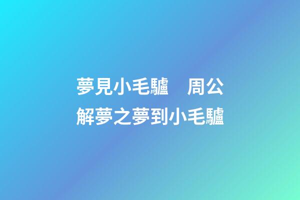夢見小毛驢　周公解夢之夢到小毛驢